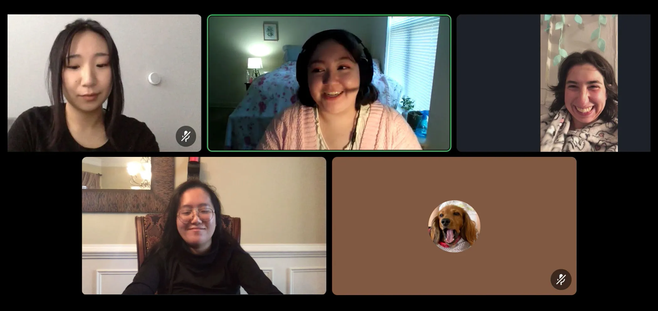 User interview via Discord, example two